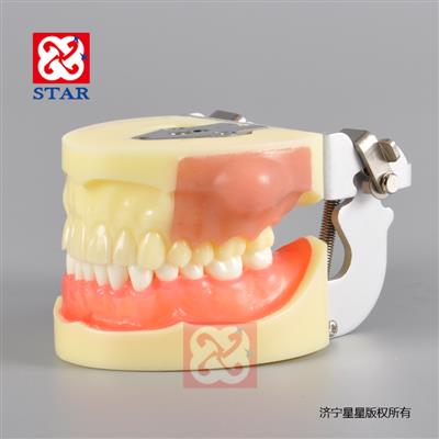 膿腫切開(kāi)練習(xí)模型M4030